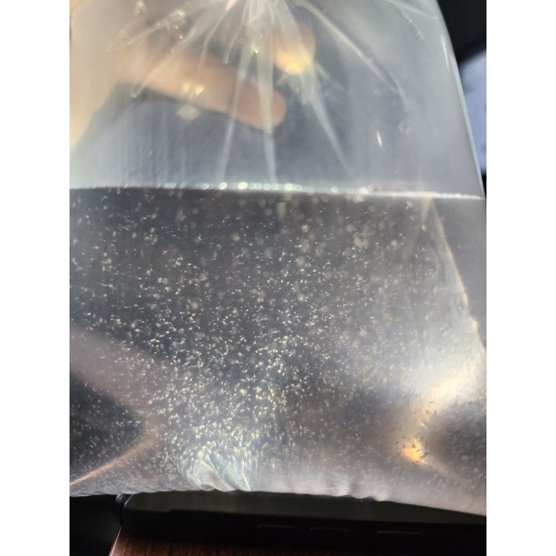 

Cocepoda 250 ml / live food / food salt water