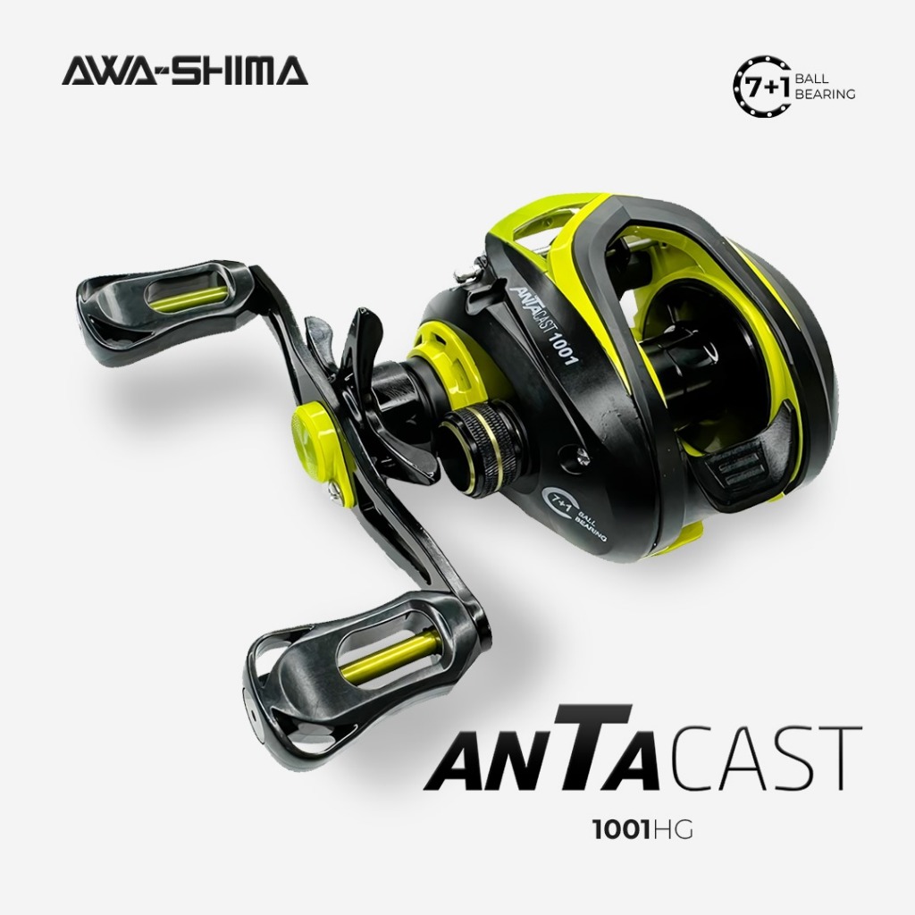 Reel BC Awashima Antacast 1001HG