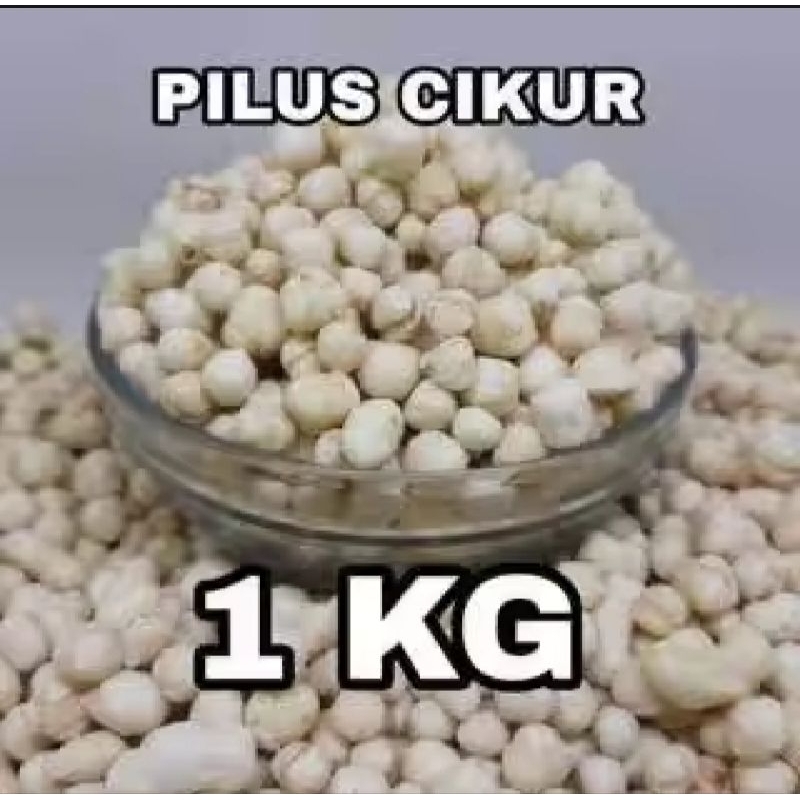 

Pilus Sukro Cikur Kemasan 1 kg Cemilan enak