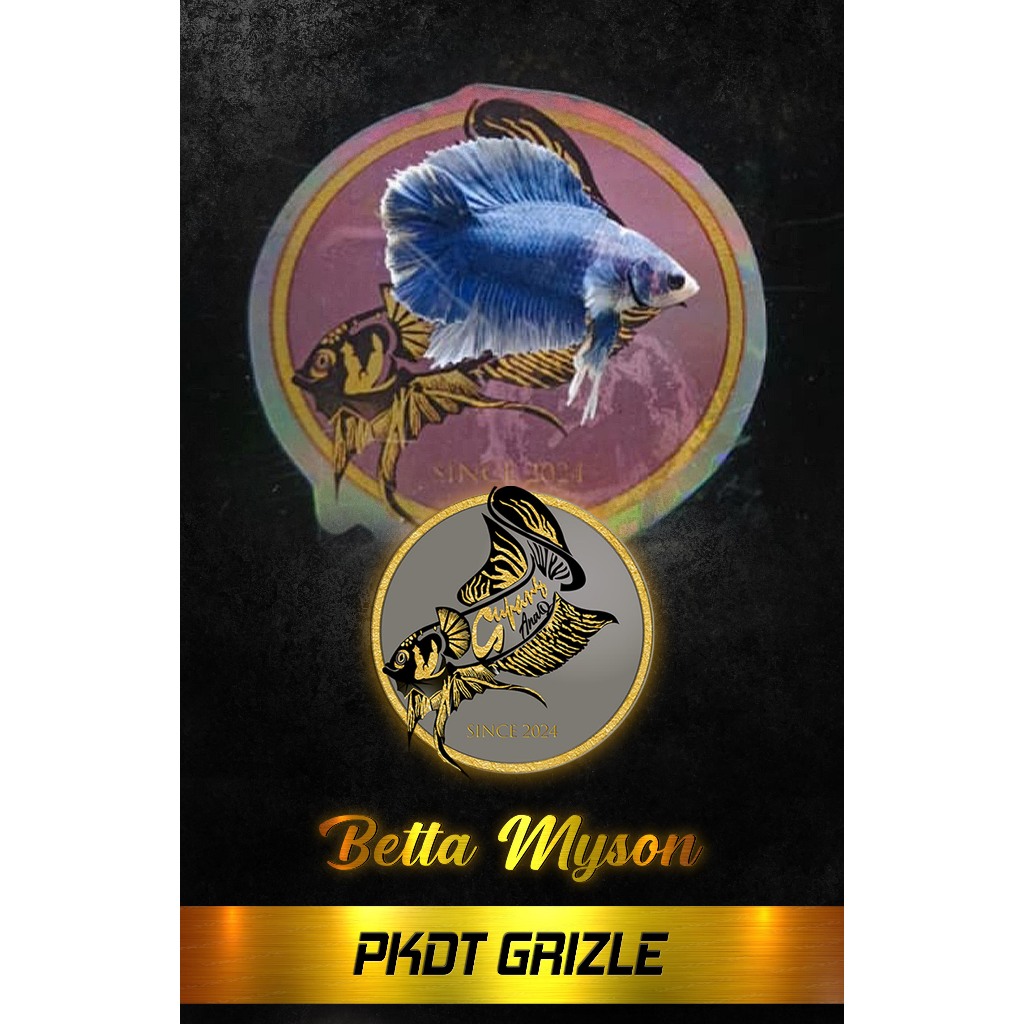 CUPANG PKDT GRIZZLE NEW BRUSHING VARIANT