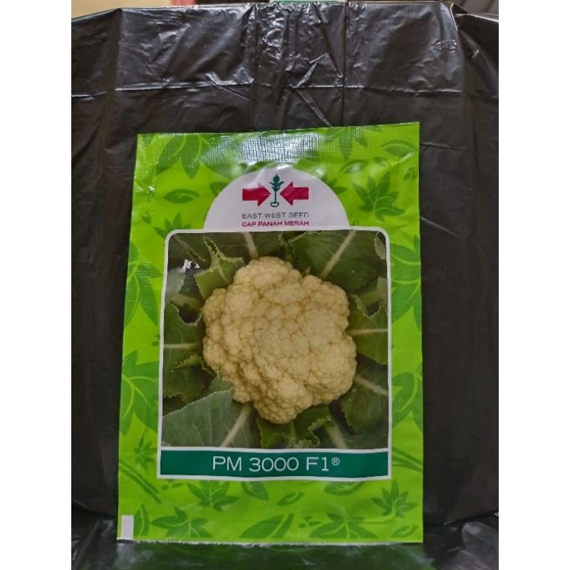 Benih Brokoli/Kembal kol PM 3000 F1 panah merah