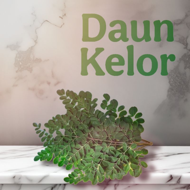 

Daun Kelor Kering
