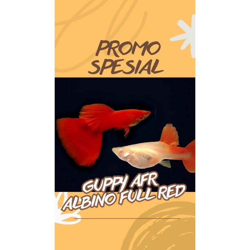 

EKSTRA KARDUS ISI P4K£T $£₱4$4NG Gμ₱₱¥ ALBlN0 FμLL R£D