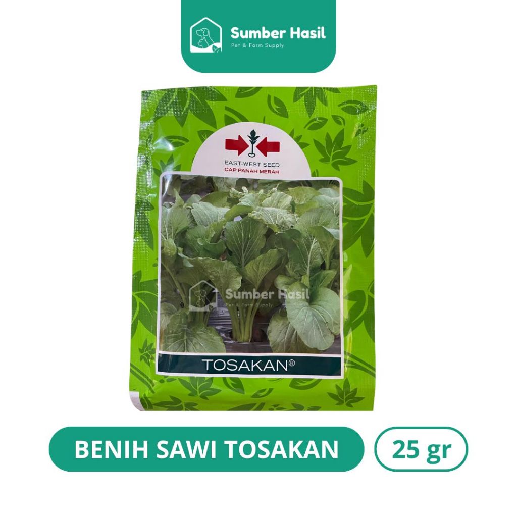 BIBIT SAWI TOSAKAN SACHET BENIH SAWI TOSAKAN SAWI MIE