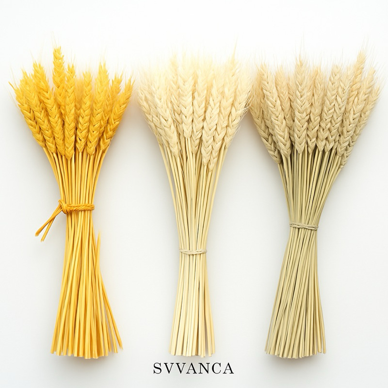 

wheat dried flower oat gandum bunga kering bunny tail lagarus ovatus rustic flower hias import
