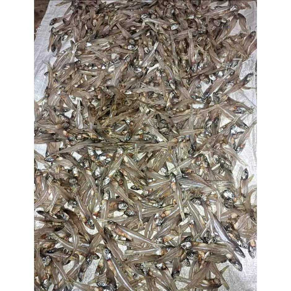 

Ikan teri Sibolga 500 gram
