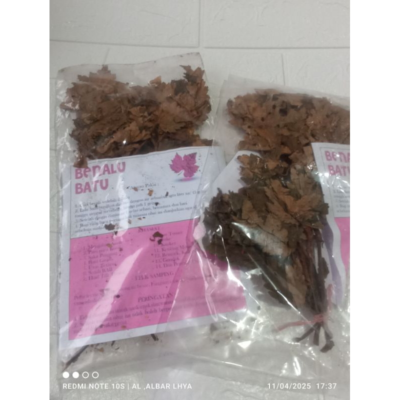

Benalu batu kanker tumor Liver