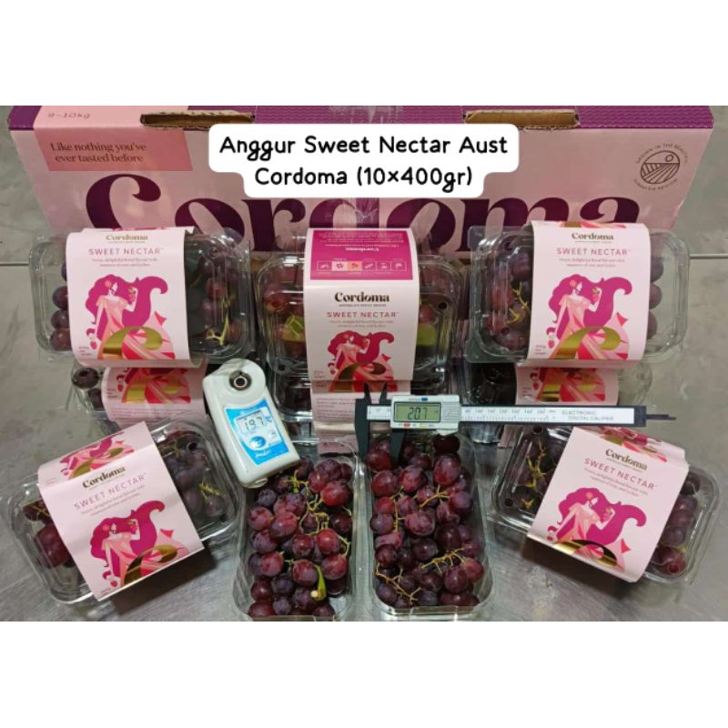 

Anggur Sweet Nectar Aust Cordoma Berat 400gram /pack