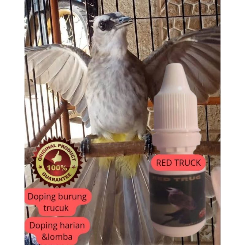 Doping Burung trucukan dan kutilang ropel Garuda gacor doping harian dan lomba 10ml