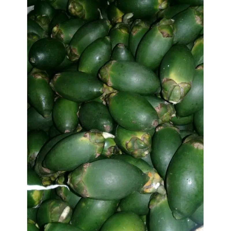 

Buah pinang muda 1kg jambe muda segar