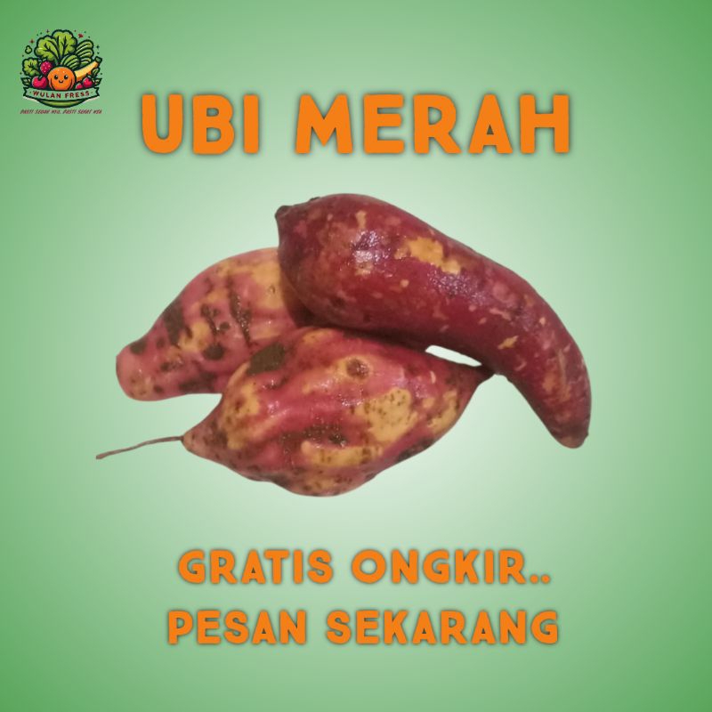 

UBI MERAH, UBI JALAR, UBI MANIS