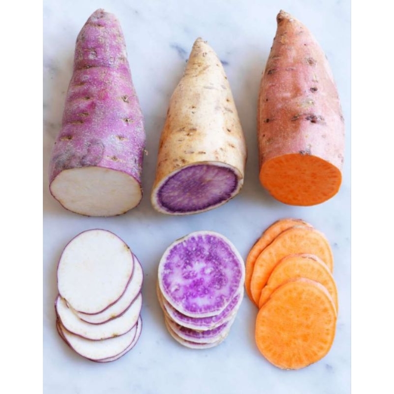 

Ubi segar dan fresh 1kg