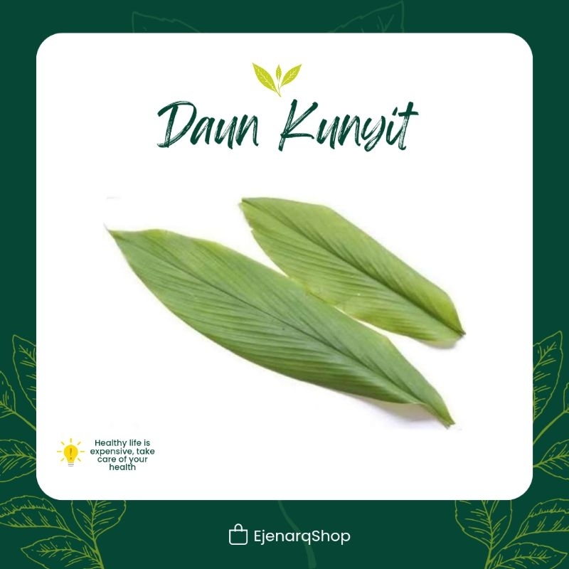 

Daun Kunyit segar perlembar