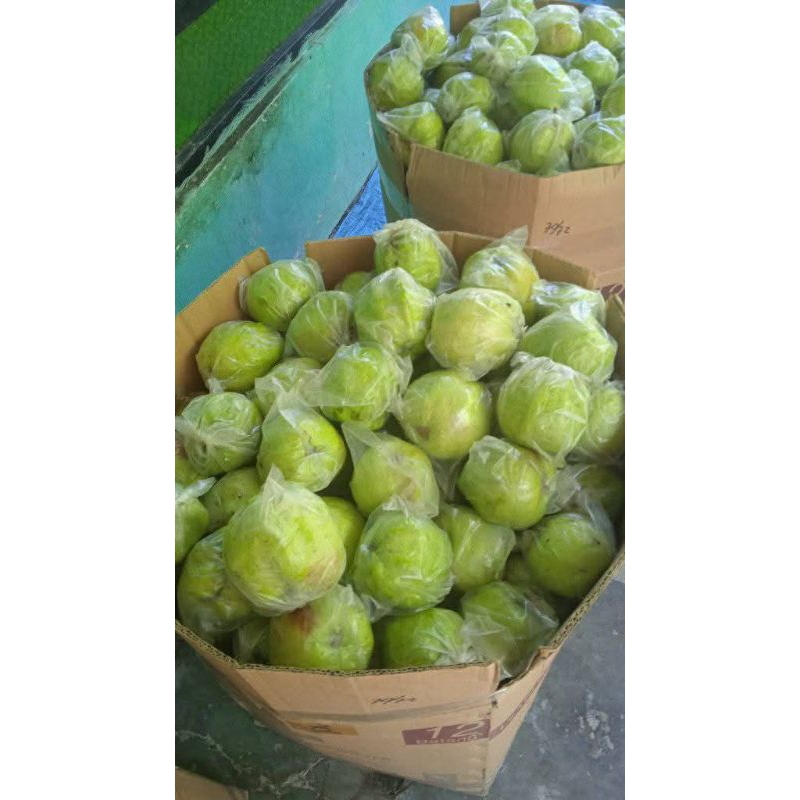 

Ada buah jambu kristal 2 kg