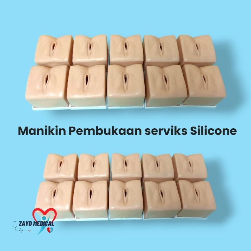 Phantom Manikin Pembukaan serviks Silicone 0-9 Step