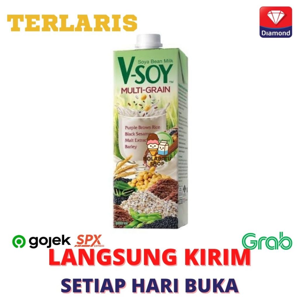 

Vsoy Soya Bean Milk Susu Kacang Kedelai UHT MultiGrain Multi Grain 1L Liter Termurah V-soy V Soy