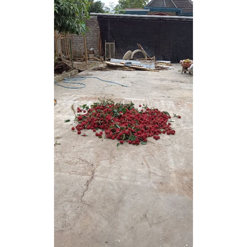 

Rambutan 1kg