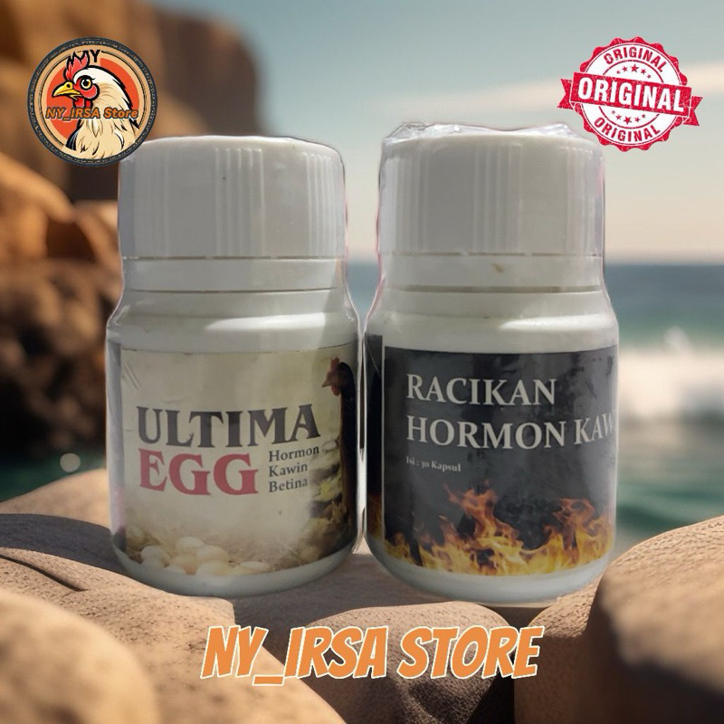 Ernov hormon kawin ayam jantan dan betina