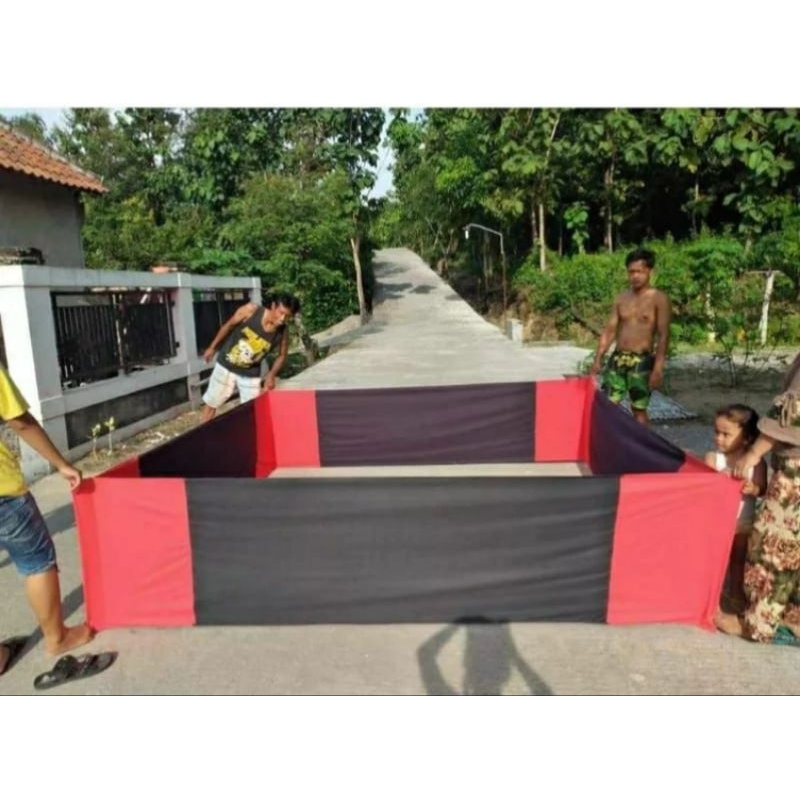 GEBER ADUAN AYAM BANGKOK/RING ADUAN AYAM/tempat aduan ayam/geber aduan ayam/Geber murah