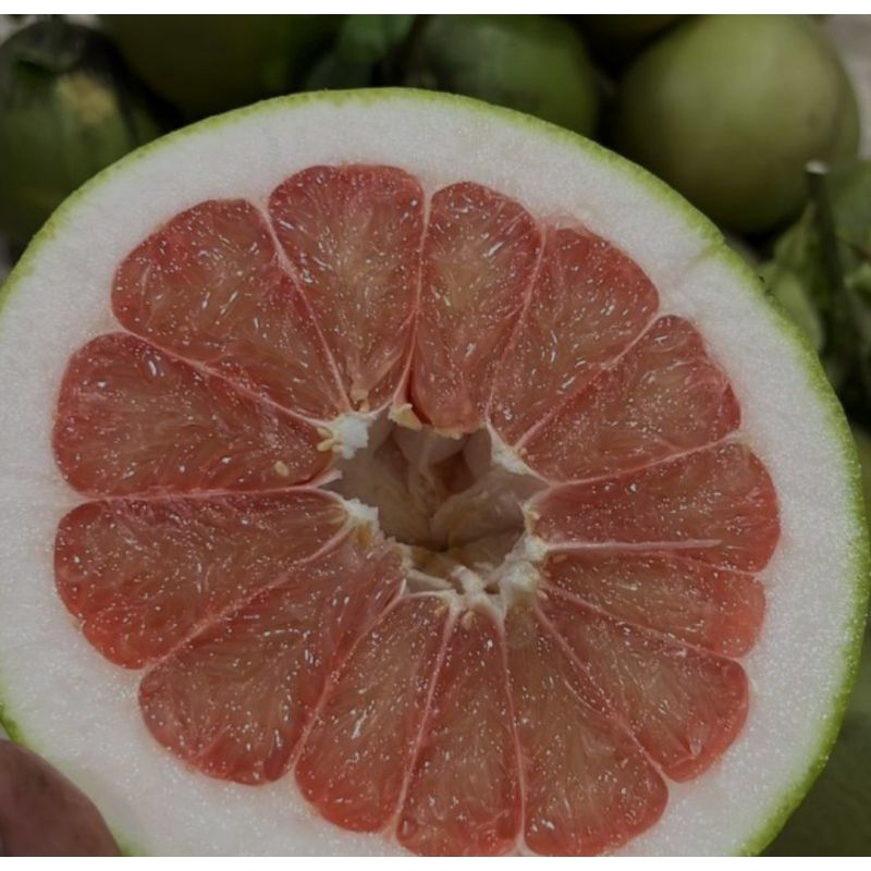 

jeruk pamelo muria berat 800 g