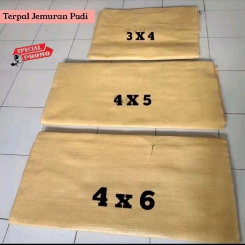 Terpal Jemuran Gabah Padi cengkeh Kopi Dll Hamparan Alas Jemur Padi Ukuran Jumbo