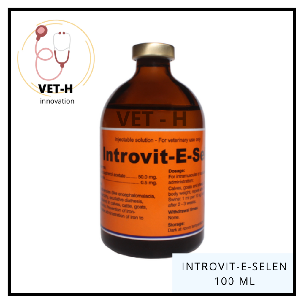 Introvit E-Selen 100 Ml TMC - Meningkatkan Daya Tahan Tubuh dan Fertilitas dengan Introvit Premix
