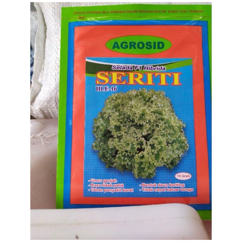 Benih Selada Seriti 10gr F1 Hibrida