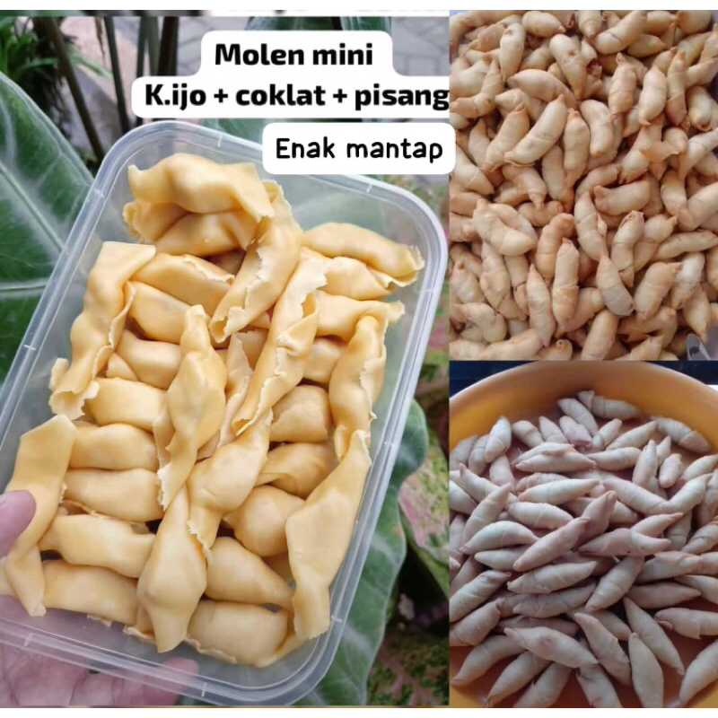

NEW !!! Molen Mini Mantap