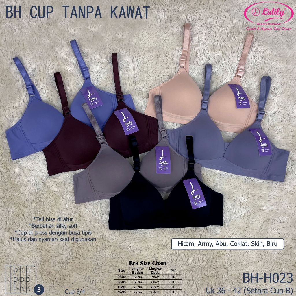 BH Harian Lidily Seamless / BH Ice Silky Soft Busa Tanpa Kawat 3 Kaitan BRA Push Up H023