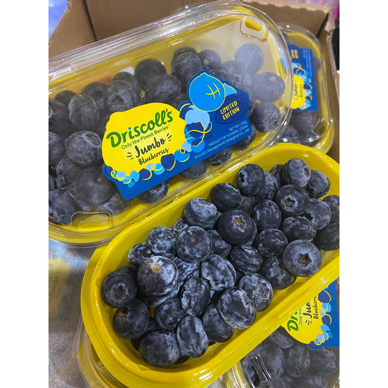 

BLUEBERRY JUMBO FRESH TERMURAH (VITAMIN TINGGI, ANTIOKSIDAN TINGGI, BAGUS)