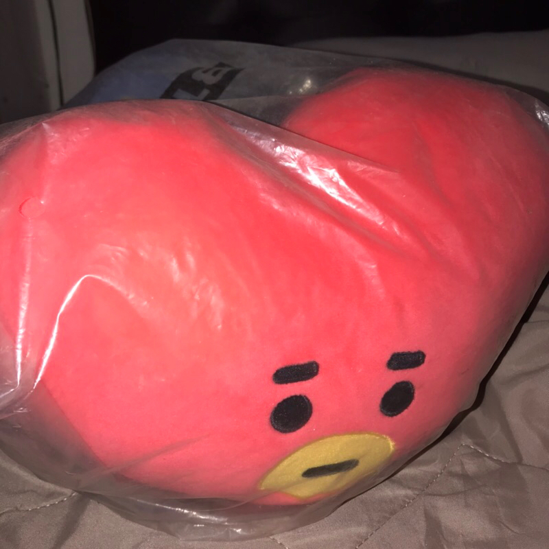 Official Universtar BT21 Line Friends Tata Lying Pillow Cushion