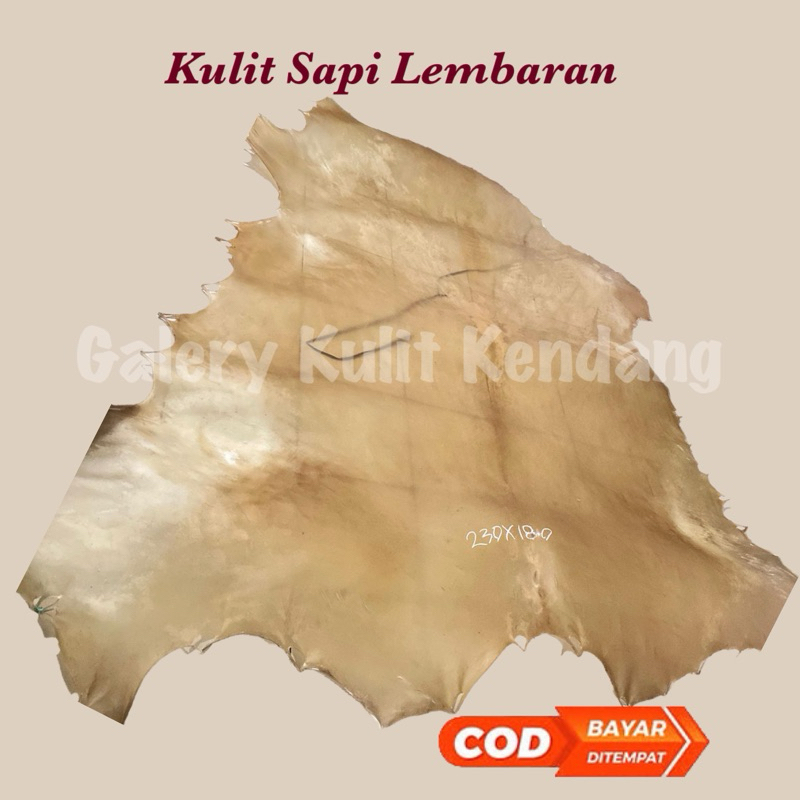 Kulit sapi lembaran
