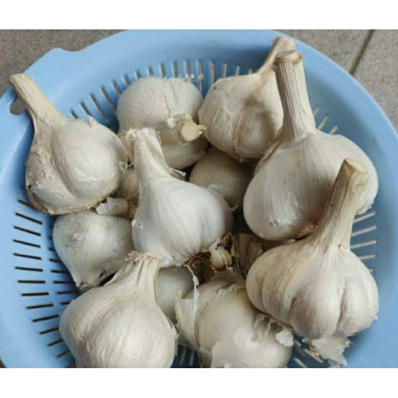 

bawang purih cuting 1kg