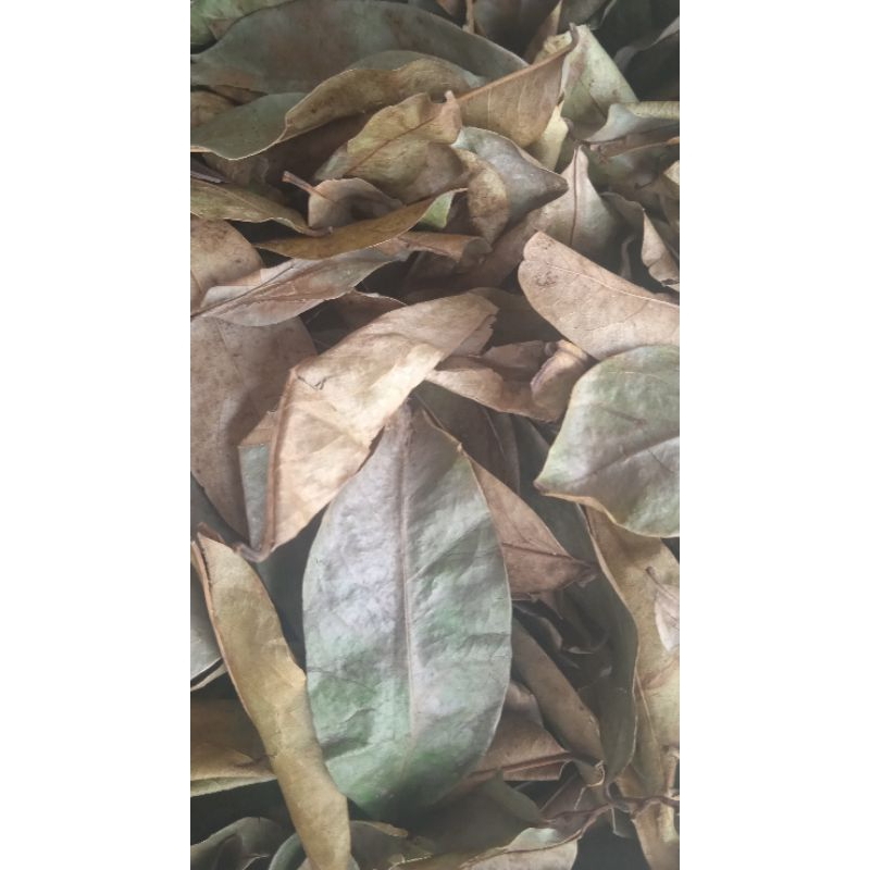 

DAUN SIRSAK KERING Original - isi 500 gram