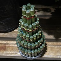 Tanaman hias Bambu hoki/ lucky bamboo/ Sri rejeki/ bambu cina/ bambu air.