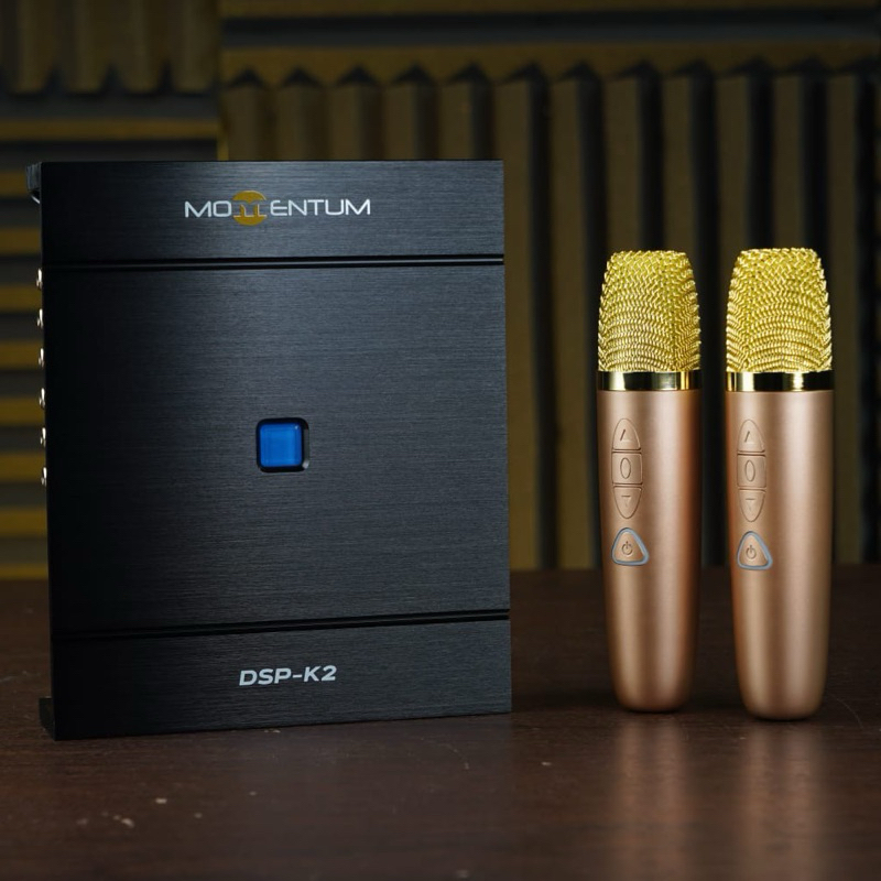 Momentum DSP K2 Processor 12Ch Karaoke Built In Power & Free 2 PCS MIC Wireless