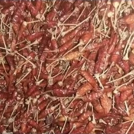 

Cabe rawit kering lokal super pedas premium Fress 1 kg