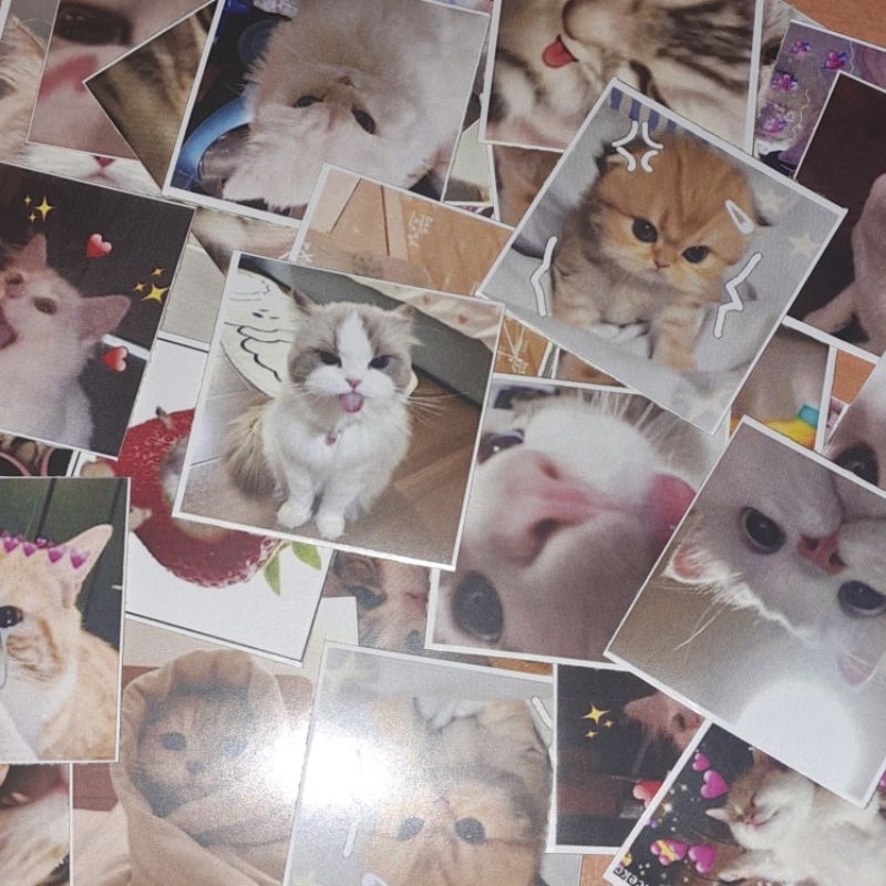 

READY FREEBIES STICKER DECO SELLKOR/STICKER DECO ANJING LUCU ISI 30PCS/MAIL STICKER DOG