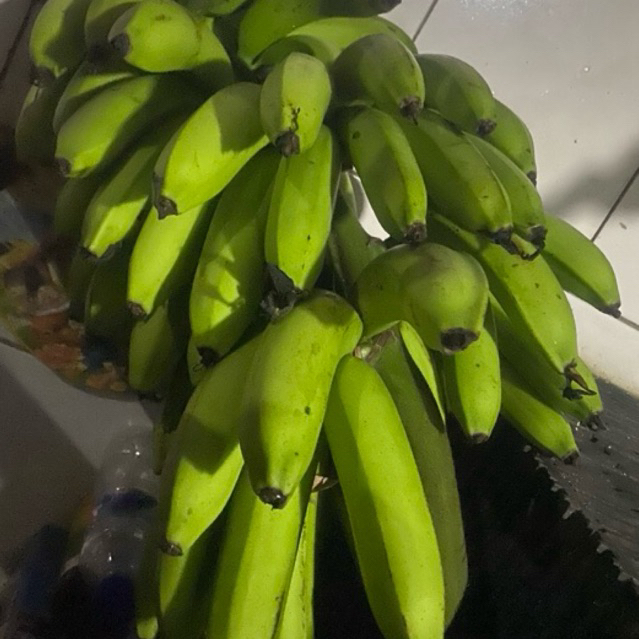 

Buah Pisang Matah SL Mrh Ems 5 Pcs Buah Pisang Mentah