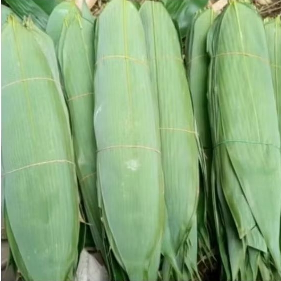

PROMO Daun bambu fress dijual per 50 lembar,Daun bambu untuk bungkus bakcang
