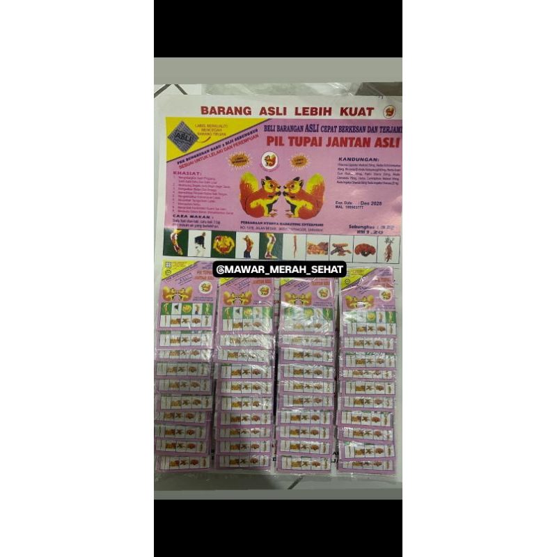 PIL TUPAI JANTAN ORIGINAL ASLI 100%