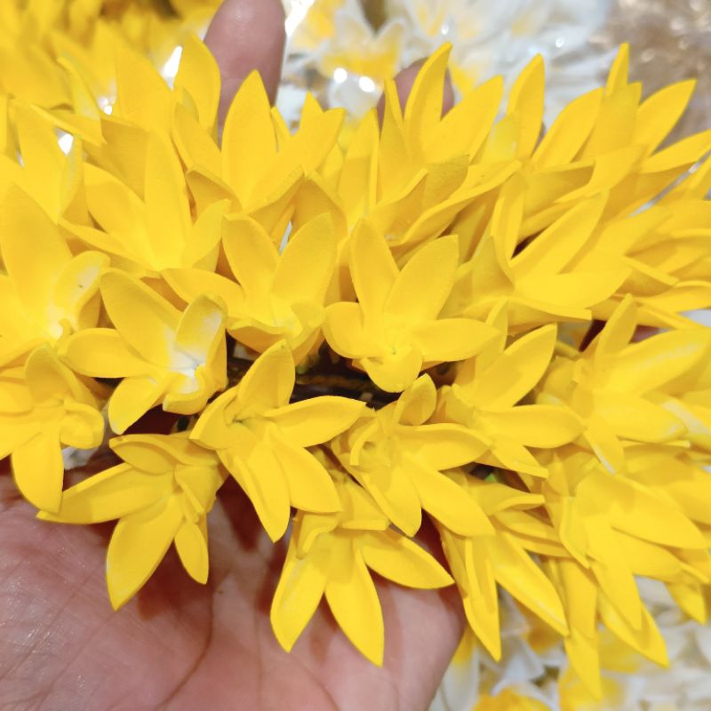 cucuk semanggi cempaka spon / hairdo sanggul bali