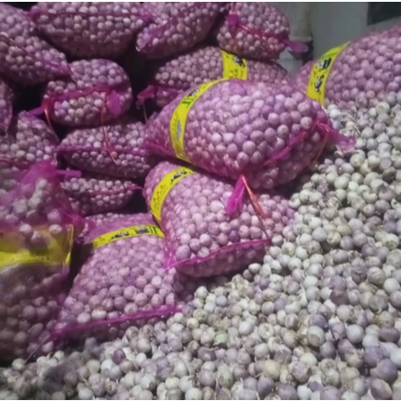 

✪ Bawang putih TunggaL Lanang 1kg (Ukuran tanggung)