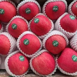 

apel fuji wangshan premium 900 gram/fresh