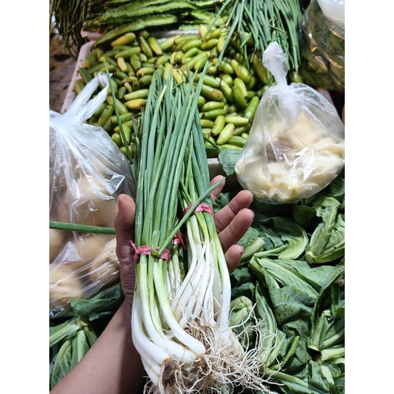 

daun bawang kecil 250grm
