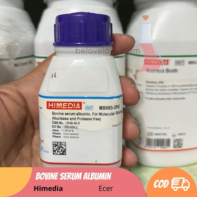 Bovine Serum Albumin 500mg