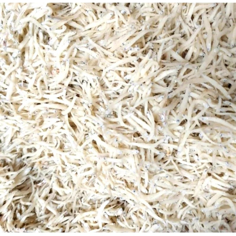 

teri nasi/teri Medan super,murah isi 500gram