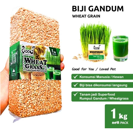 

WHEAT GRASS/ RUMPUT GANDUM IMPORT 1KG BEST QUALITY