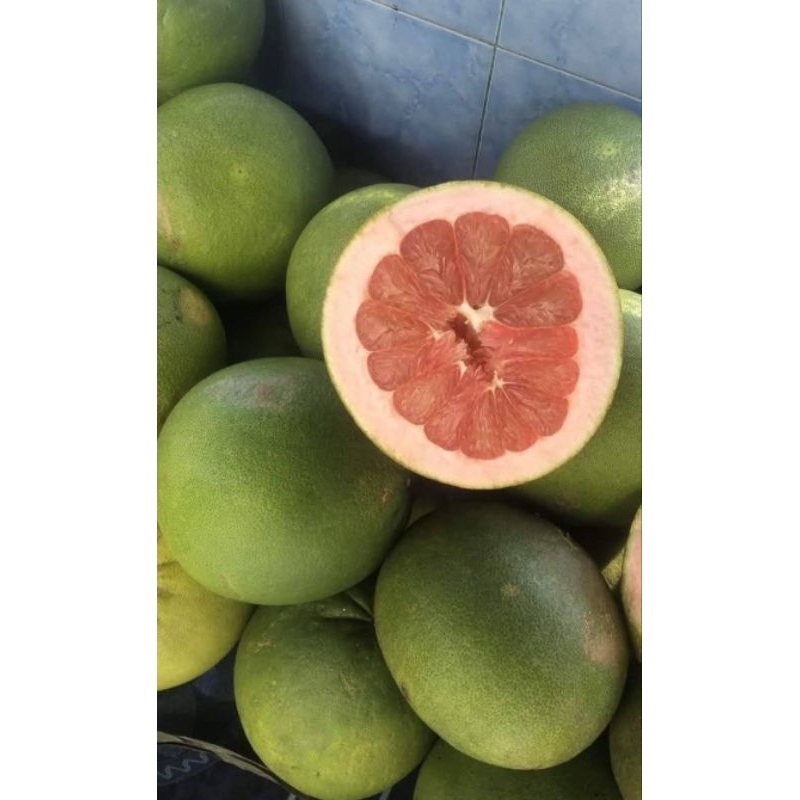

jeruk pamelo asli muria tanpa biji BERAT 1,6kg-1,8kg