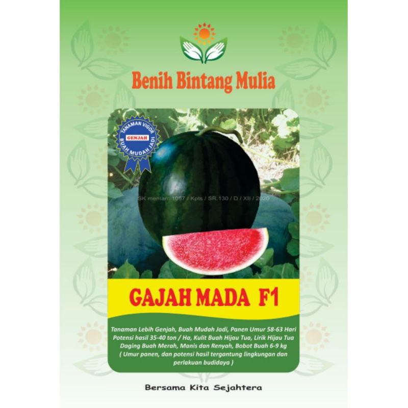

Gajah Mada F1 benih semangka hibrida non biji kemasan 20GR